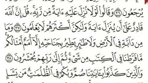 تصحيح تلاوة الأخ محمد مندو بصوت الأخ المجاز بسّام السباعي.