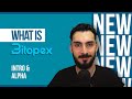 Introduction to bitopex  what to expect