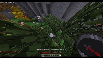 Bug/Map Exploit Report - CZeors (Glitching up a Tree)