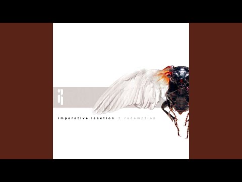Imperative Reaction — Salvation