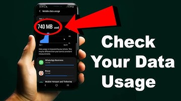 Track Your Data Usage Easily: A Quick Guide for Smartphones (2024)