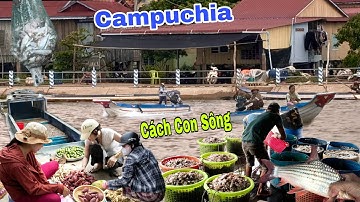 Lũ rút khô bờ đàn cá từ Campuchia tràn về Chợ biên giới Khánh An giá siêu rẻ 