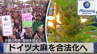 ドイツ大麻を合法化へ　少量の所持・栽培を認める【モーサテ】（2023年8月17日）