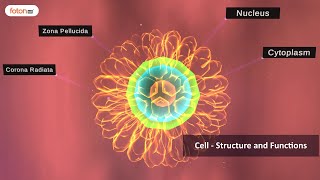 VR Tour For Std  8 Ch  8  Cell   Structure and Functions screenshot 4