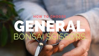 Choosing general bonsai scissors