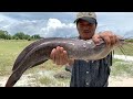 Amazing fishing 2020 - Catching big catfish by hand in mud dry season