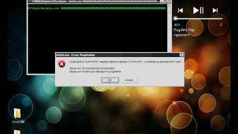Exemple 1: Local Buffer Overflow - mrinfo.exe
