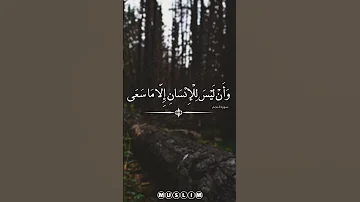 وأن ليس للإنسان إلا ما سعى محمود الحصري 