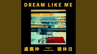 DREAM LIKE ME