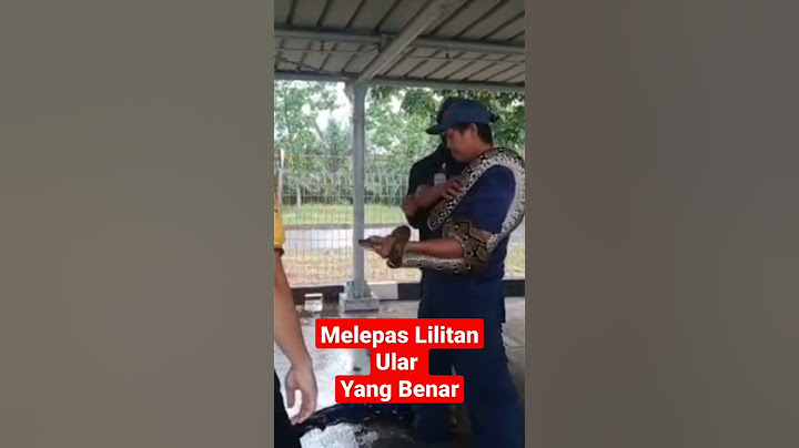 Cara Melepas Lilitan Ular