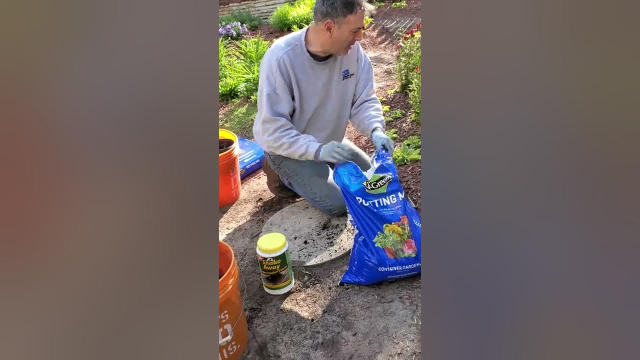 How to Fill Chipmunk Tunnels YouTube