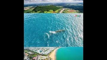 🐋 Cá voi Bryde dài hơn 10m xuất hiện ngoạn mục tại vùng biển Nhơn Lý – Gia Lai