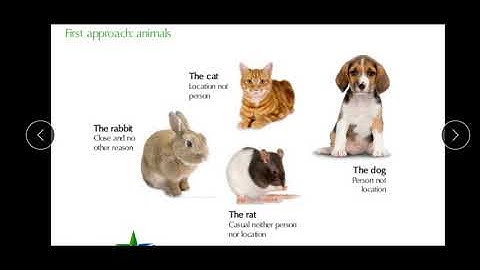 Goodwill l Types of Goodwill l Rat l Cat l Dog l Rabbit Goodwill l NTA NET JRF COMMERCE MANAGEMENT