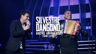 Video-Miniaturansicht von „Después De Tantos Años (En Vivo) - Silvestre Dangond & Omar Geles (Entre Grandes, Tour 2019)“