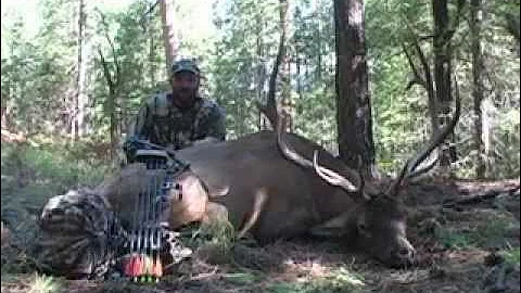 Archery Elk Hunt in Arizona - Offgrid Outdoors