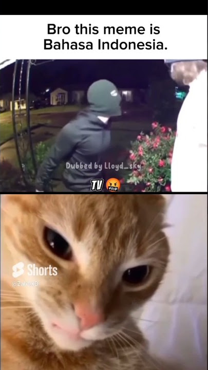 itu tv ku 🤓 #memeindonesia #cat #shorts you