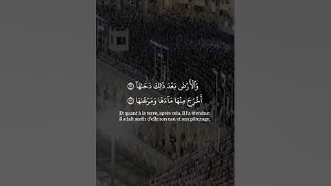 تلاوة خاشعة سورة النازعات #سعود_الشريم #تلاوة_خاشعة #تلاوات #قران_كريم #اكسبلور #قرآن #fy #fyp#quran
