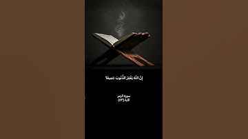 سورة الزمر #القرآن_الكريم #ادهم_النابلسي