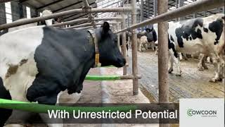 8 Robotic Dairy