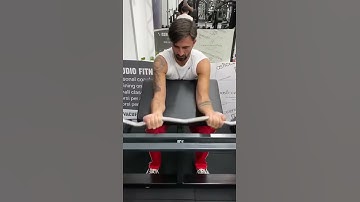 Gymequip.eu / Biceps Machine F3XX / Gym in Napoli, Italy