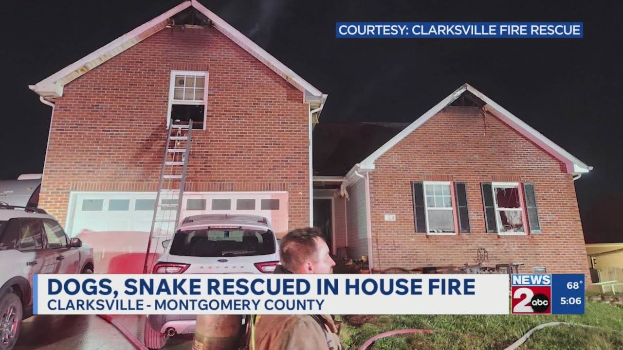 Dogs, snake rescued from Clarksville house fire - YouTube