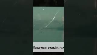 🗓 КАЛЕНДАРЬ | Покорители водной стихии #history #история #спорт