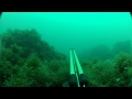 Подводная охота. Сингили 26.07.2012