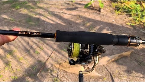 Câu cá măng | câu cá thiên nhiên cà mau