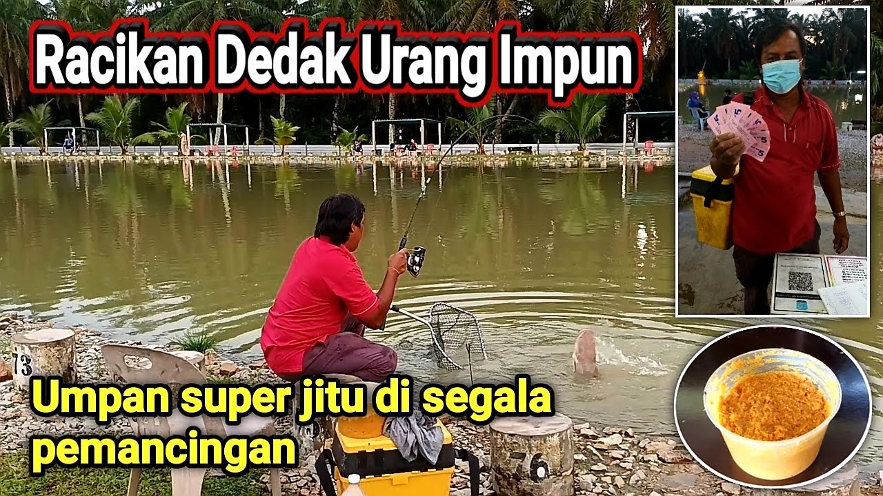 Racikan dedak urang impun sah umpan super jitu super gacor di segala pemancingan