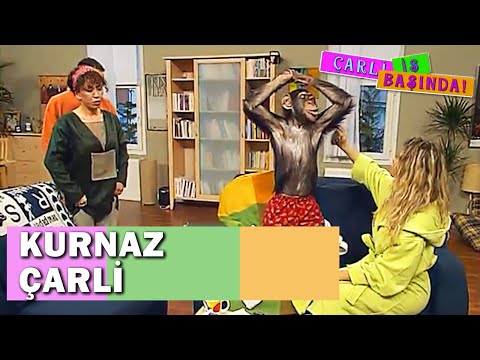 Çarli Kendini Cilvenaz'a Yıkattırdı! - Çarli İş Başında 9. Bölüm