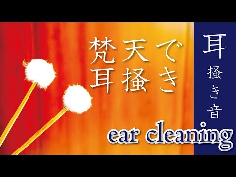 ASMR 梵天で耳かきする音(小声) Ear cleaning / 귀 청소