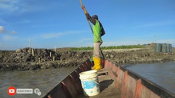 ‼️Mantau patin di danau tempe ‼️ Episode 6