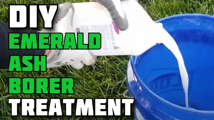 DIY Emerald Ash Borer Treatment | Treating Ash Tre...