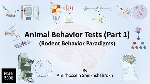 Mouse behavior tests (part 1) Rodent Behavioral Paradigms