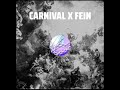 Carnival x fein