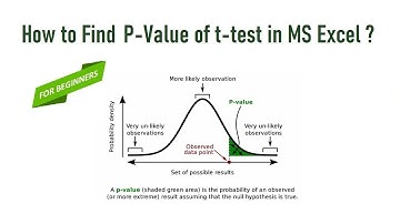 How to find P Value of t-test in MS Excel | Step By Step Guide