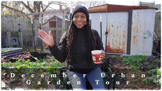 December Urban Backyard Garden Tour and Conversation | London Sunshine Induction Cooktop, Yes Please