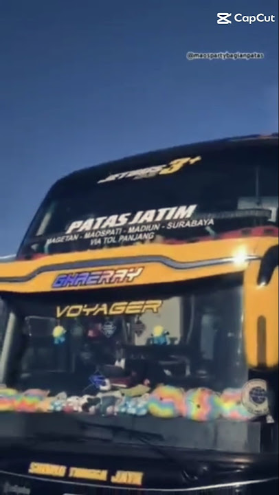 Story'WA bus STJ GHAERAY PATAS JATIM mbois #fyp #maospartygank #stj