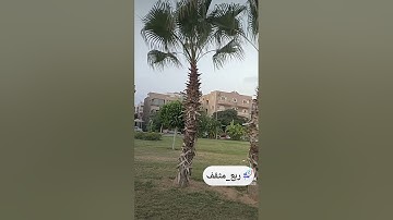 ما تيسر من #سورة_الحشر #ربع_مثقف #غزة_ستظل_فى_القلب