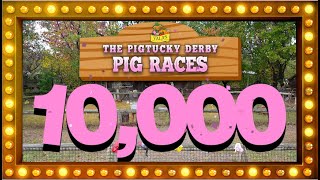 Vala's Celebrates 10,000 PIG RACE SHOWS!!!