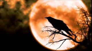 Bad Moon Rising - Peter Dreimanis