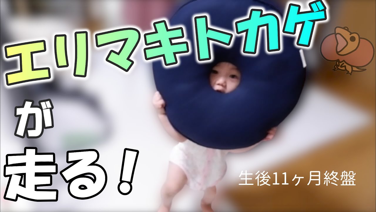 生後11ヶ月終盤 親の言葉を少しずつ理解している赤ちゃん 真似っこが上手 Youtube