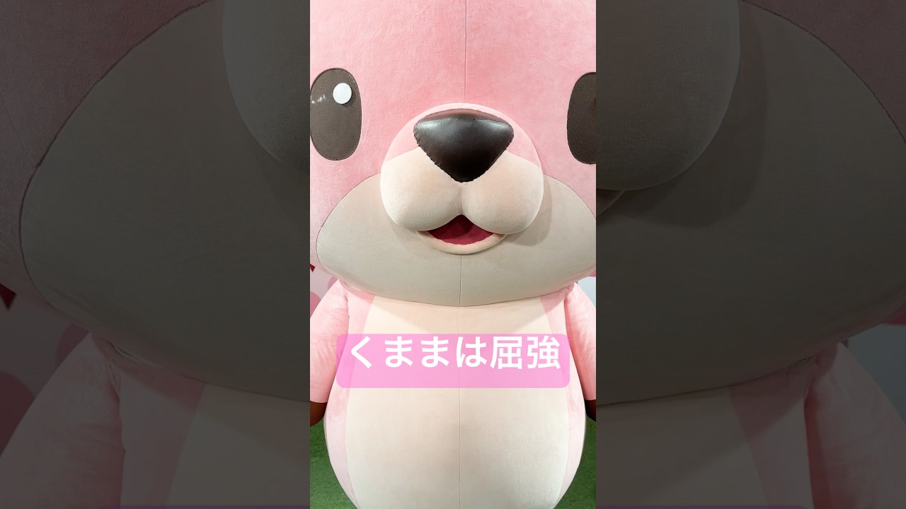#イワシカちゃん のBig Huuuuuuug🦌 #くまま #くままは屈強 #岩下の新生姜 #踊ってみた #shorts