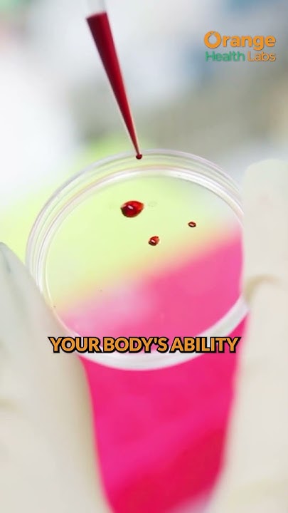 fbs-ppbs-measuring-your-blood-sugar-is-important-bloodsugar