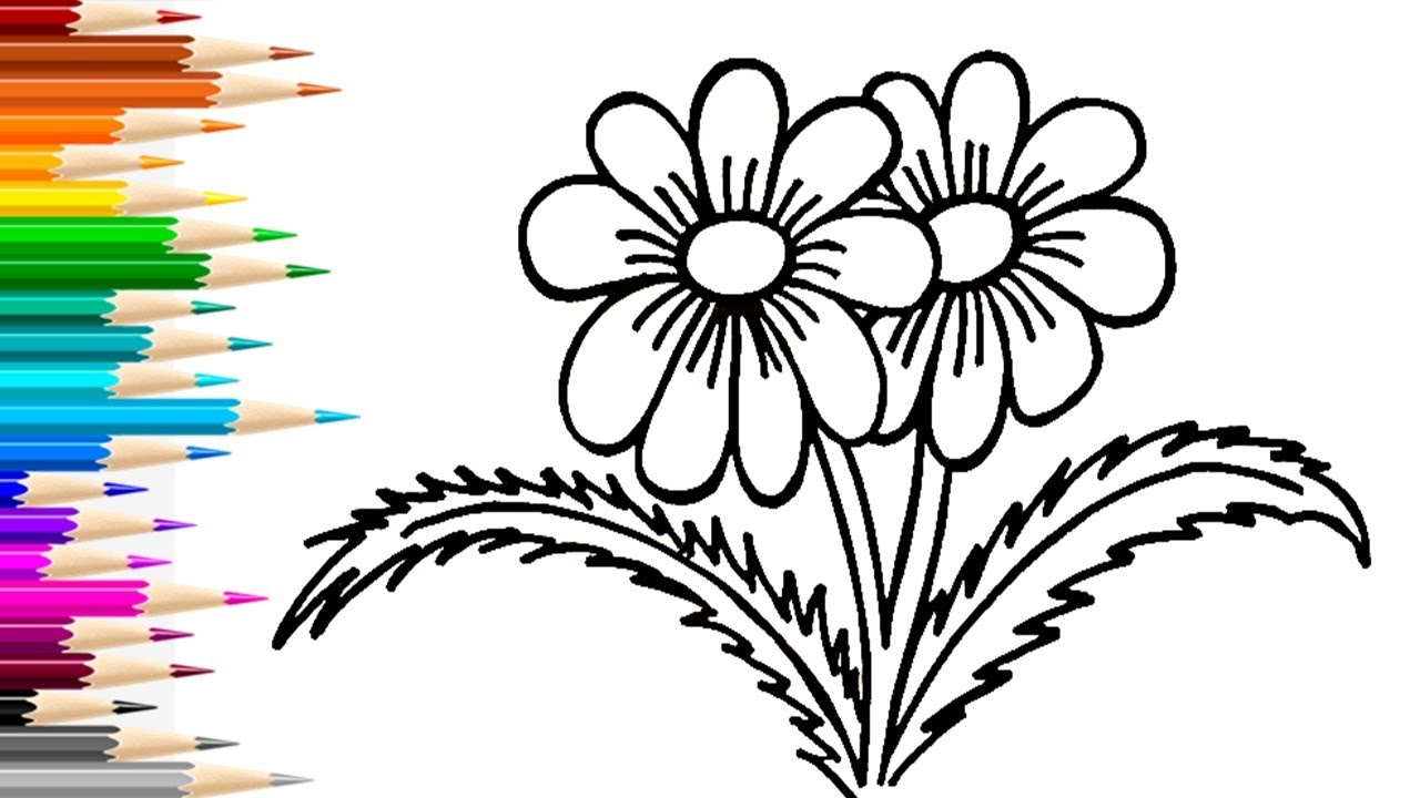 Цветняшки картинки раскраски