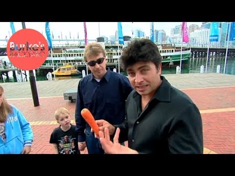 Burke's Backyard, Food Myths