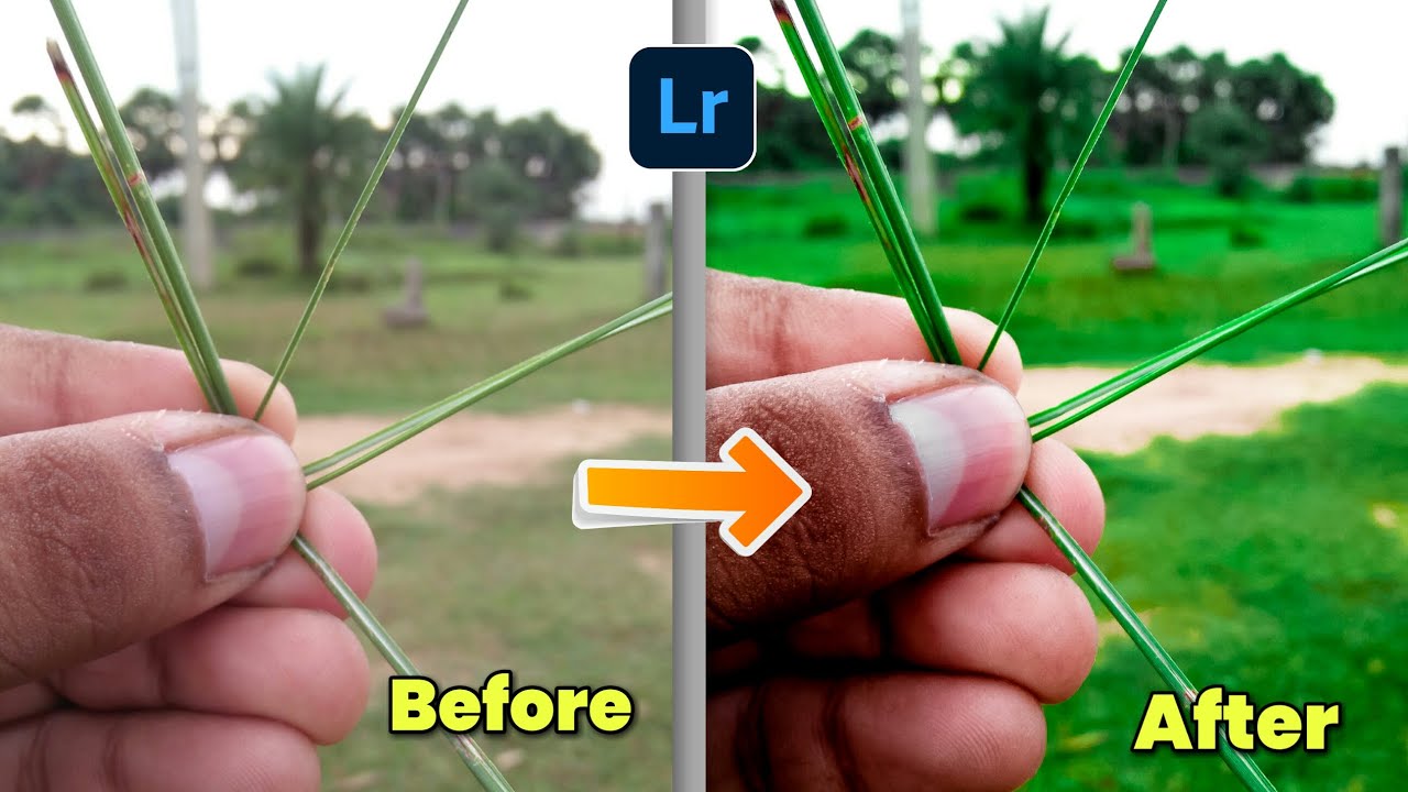 Lightroom Mobile Colour Grading | How To Retouching Photo | Lightroom Green Photo Editing |Saifeditz