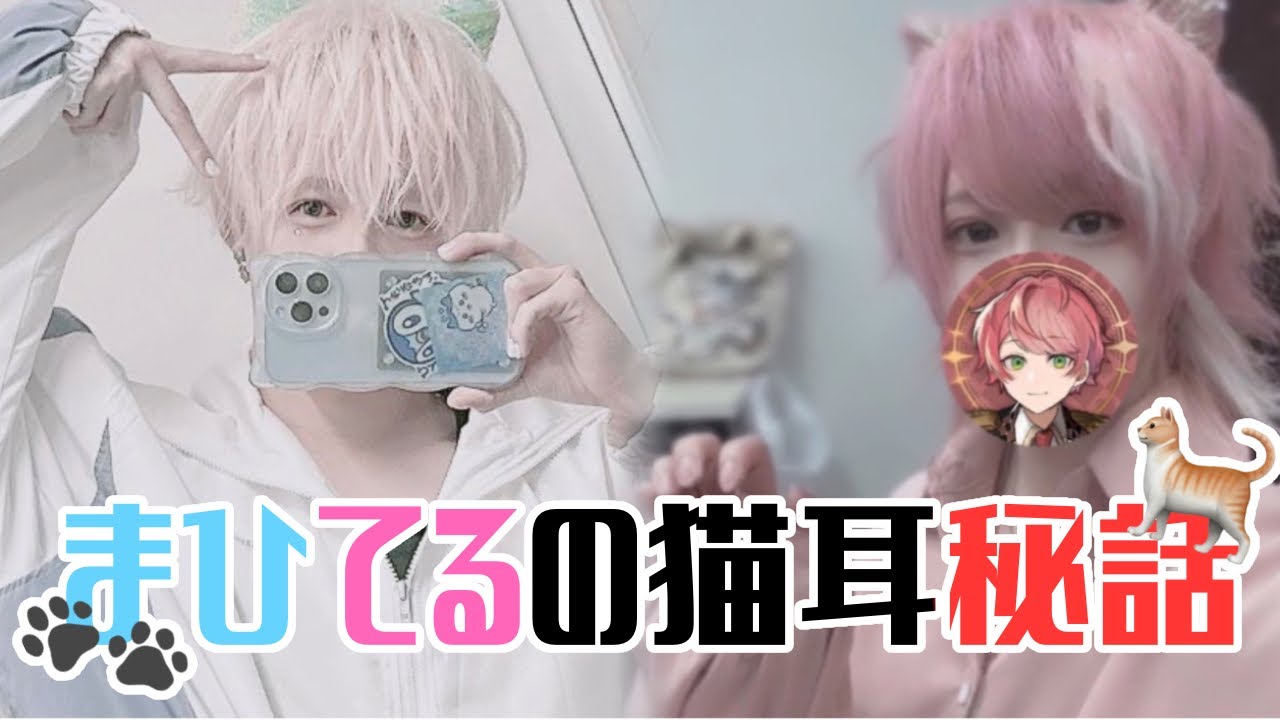 騎士A てるとくん フォトカ 最終決戦 猫耳 78枚 騎士A てるとくん フォトカ 最終決戦 猫耳 78枚 Amazon.co.jp