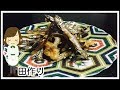 【田作り】電子レンジだけで完成！Candied dried sardines in the microwave［Japane…