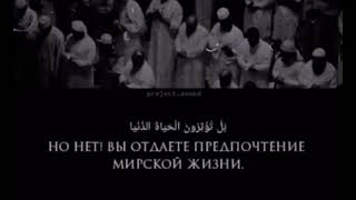 сура 87 Аль-Аля(Высочайший) аяты 14-19, чтец Ахмад Аль Аджми